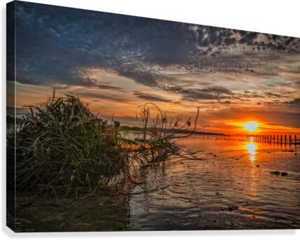FS150326H Canvas Print