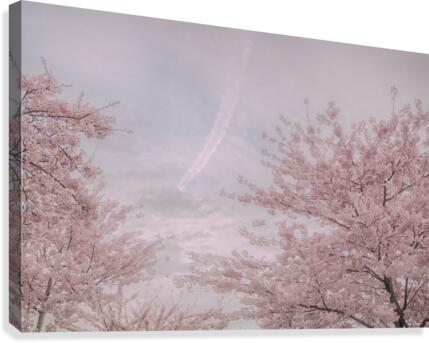 FS150324 0 Canvas Print