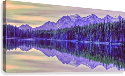 FS121007DW5 Canvas Print
