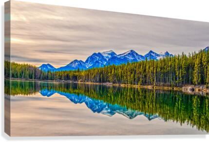 FS121007DW4 Canvas Print