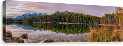 FS121007PAN3 Canvas Print
