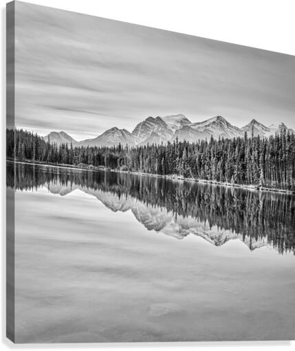 FS121007S2 Canvas Print