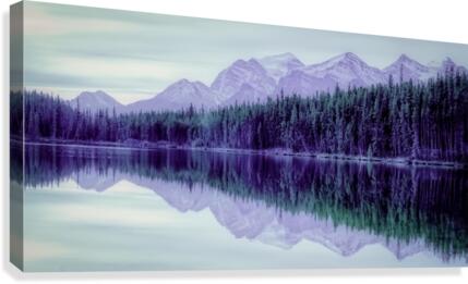 FS121007F2 Canvas Print