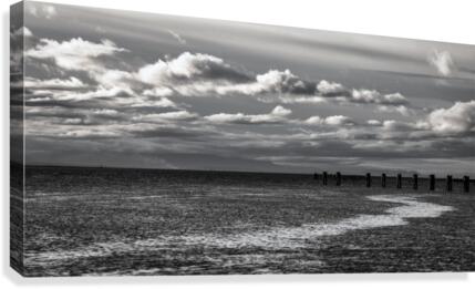 FS201217BW Canvas Print