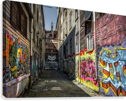 FS170706 00 Canvas Print