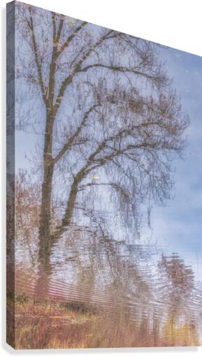 FS201111 0 Canvas Print