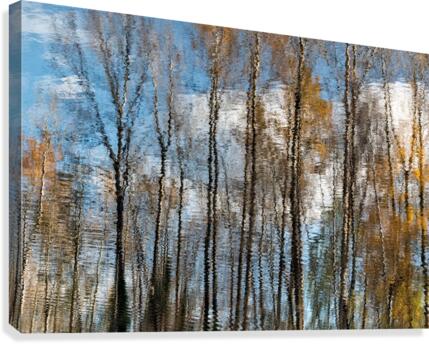 FS201107M Canvas Print
