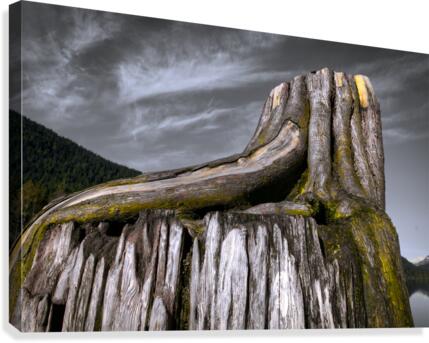 FS130219A Canvas Print