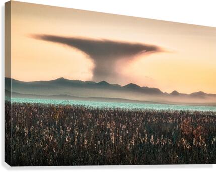 FS150407 SOFT Canvas Print