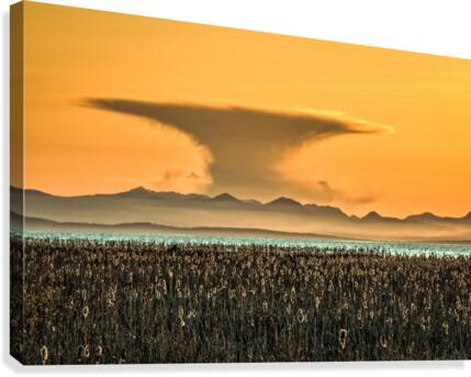 FS150407K Canvas Print