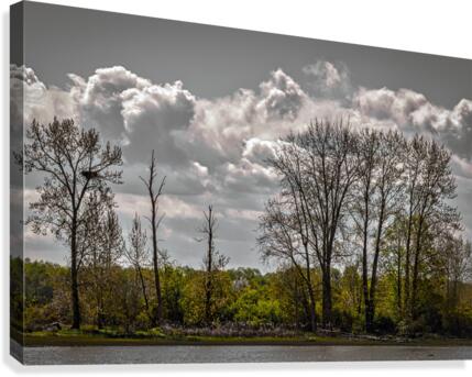 FS150414A Canvas Print