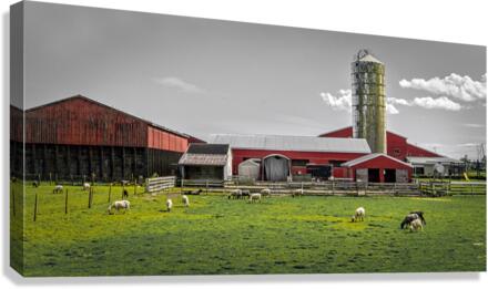 FS080618DW Canvas Print