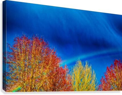 FS100415R2 Canvas Print