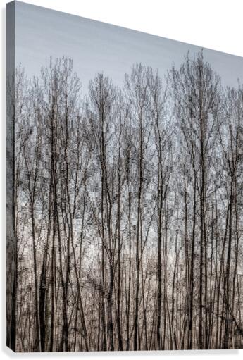 FS110302 0 Canvas Print