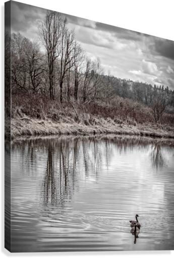 FS110312 0 Canvas Print