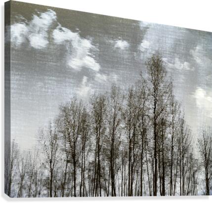 FS110307 3 Canvas Print