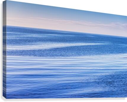 FS201031 2  Canvas Print