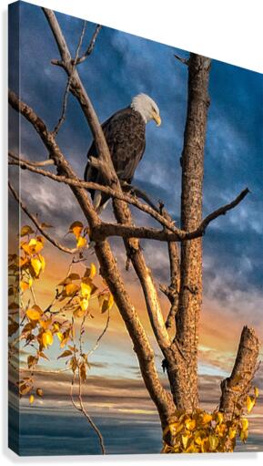 FS201022 0 Canvas Print