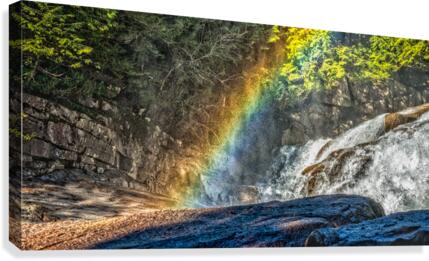 FS171205C  Canvas Print