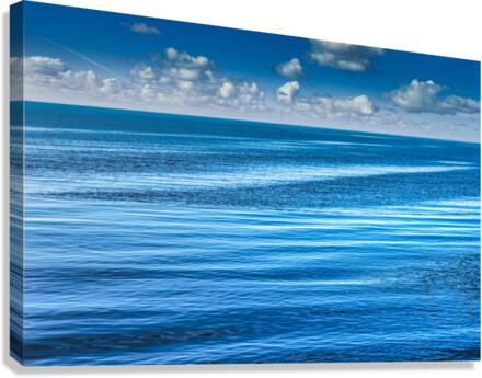 FS201031A Canvas Print