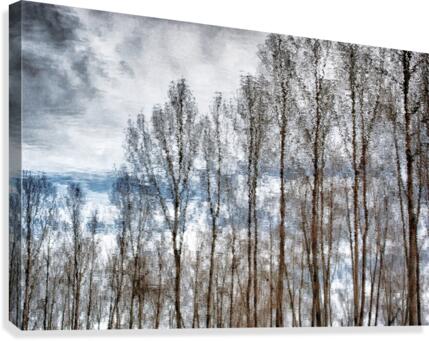 FS170221E3 Canvas Print
