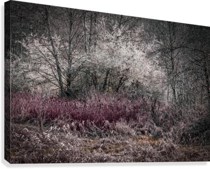 FS210329 01 Canvas Print