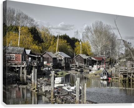 FS210411 Canvas Print