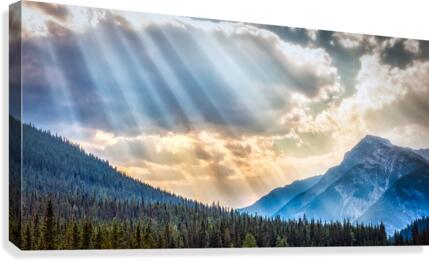 FS170901DW2 Canvas Print