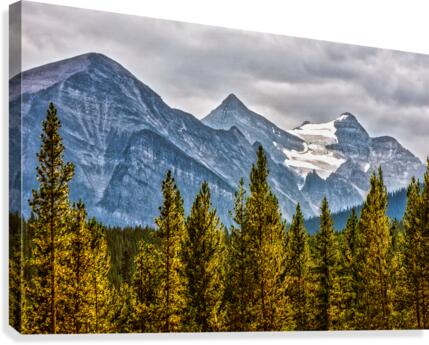 FS170901 03 Canvas Print