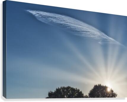 Magical Feather Cloud Canvas Print