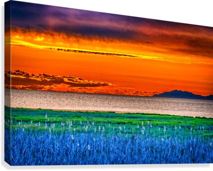 FS200519 Canvas Print