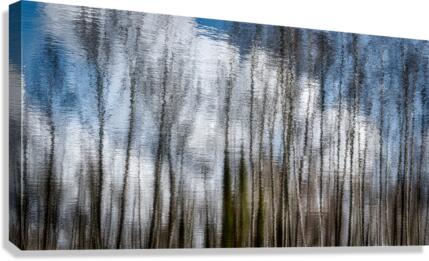 FS170318DW Canvas Print