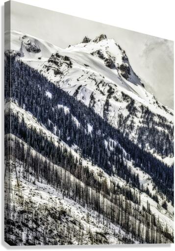 Distant Mountains Canvas Print