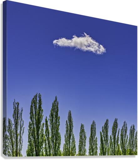 SUMMER SKY  Canvas Print