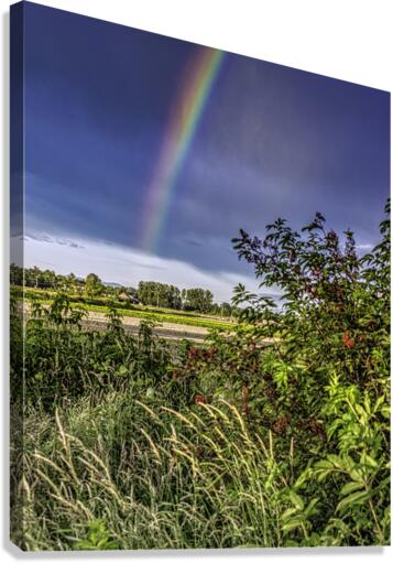 RAINBOW AFTER RAIN Canvas Print