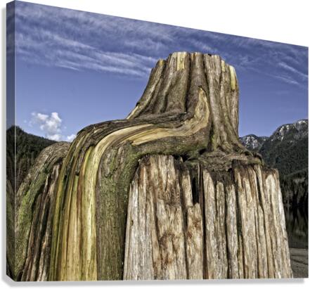 REBORN Canvas Print