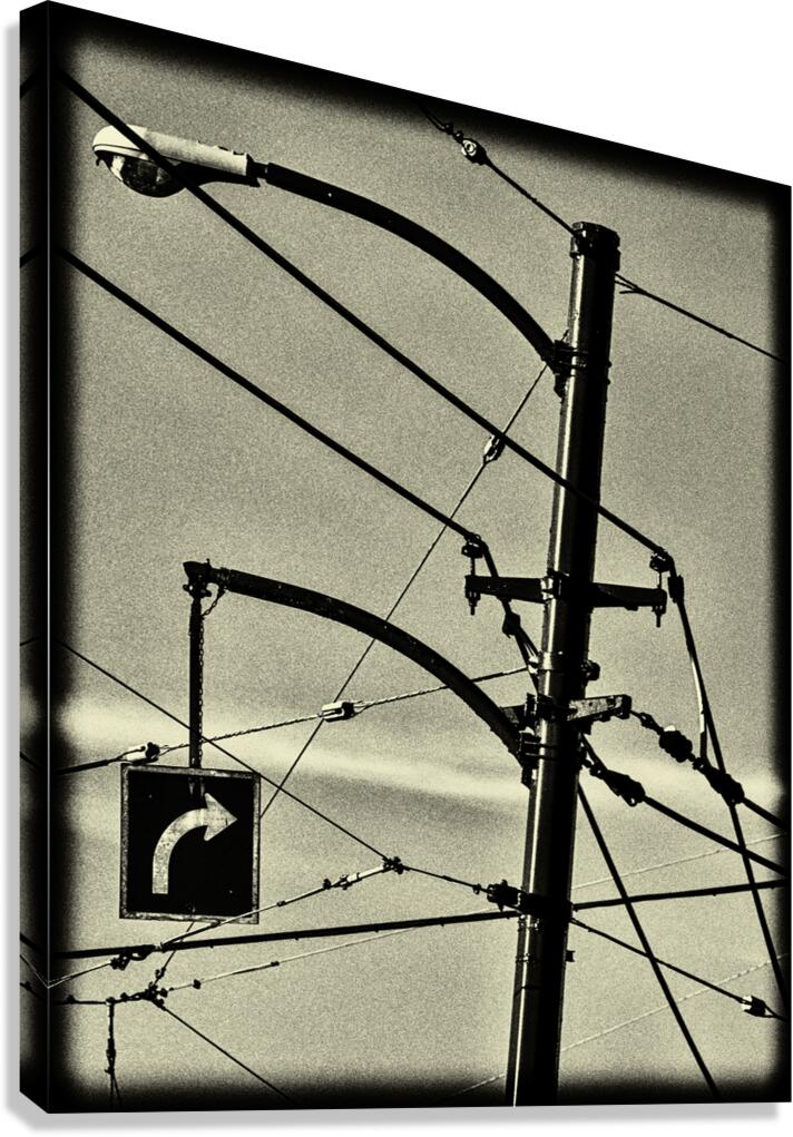 CONNECTIONS Canvas Print