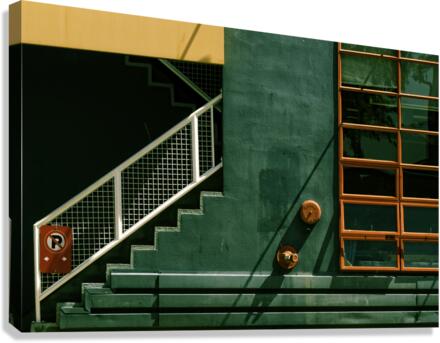 GREEN WALL Canvas Print