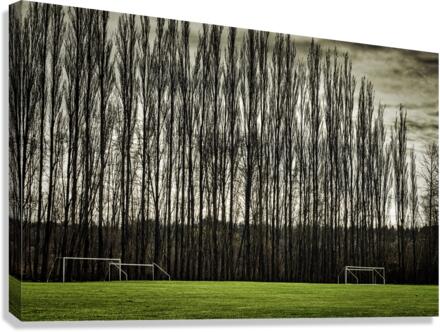 GREENFIELD Canvas Print
