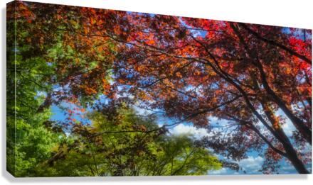 Foliage Canvas Print