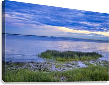 IONA BEACH Canvas Print