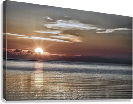 FS220821 Canvas Print