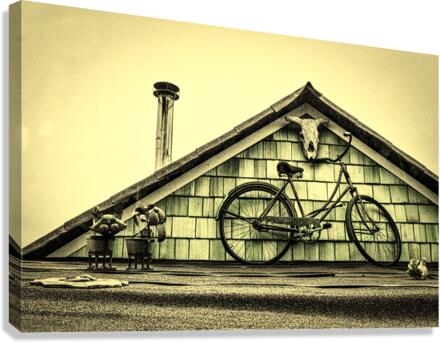 Old House Canvas Print