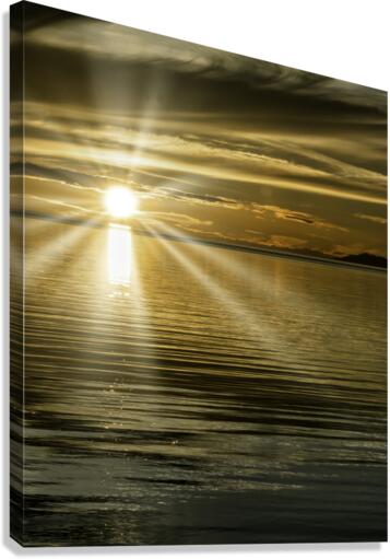 SUNRAYS 2022 Canvas Print