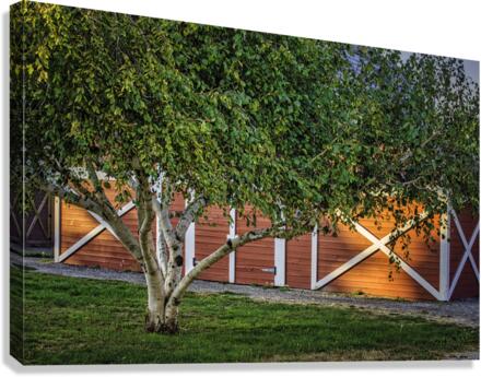 FARMHOUSE Canvas Print
