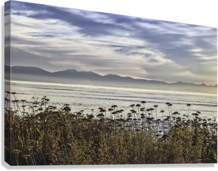 Misty Landscape Canvas Print