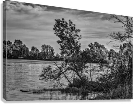 FS220925BW Canvas Print