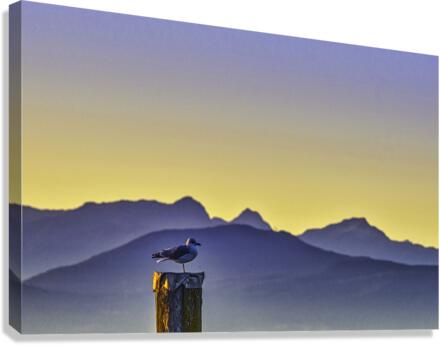 BORN FREE Canvas Print