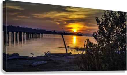 GILBERT BEACH Canvas Print
