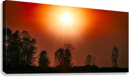 FS221016DW Canvas Print